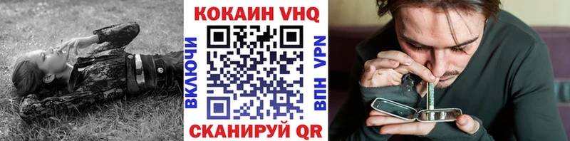 Купить где  Сосновый Бор  COCAIN Fish Scale 