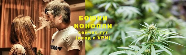 прущие грибы Нея