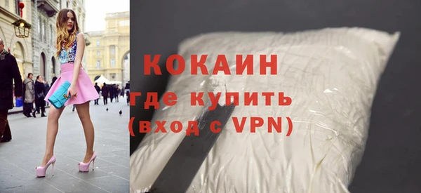 дживик Новозыбков