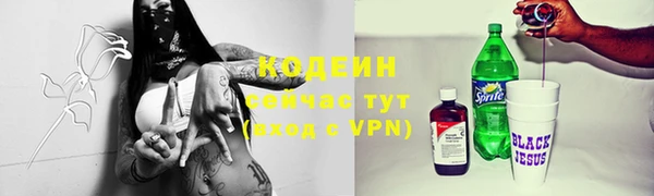 прущие грибы Нея