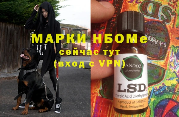 прущие грибы Нея