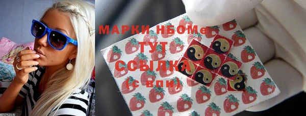 прущие грибы Нея