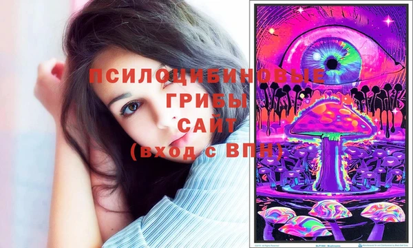 прущие грибы Нея