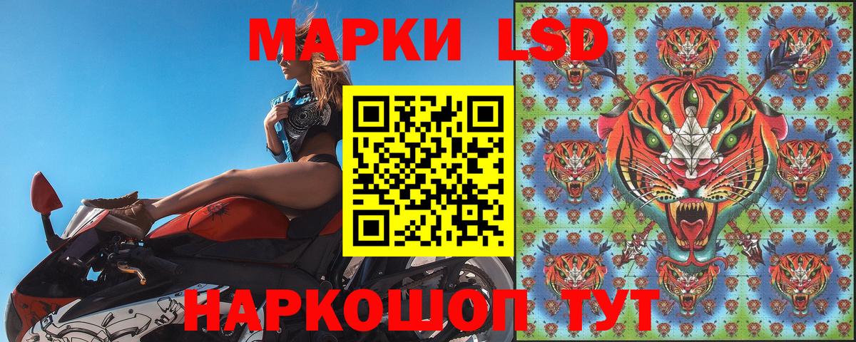 Марки N-bome 1,5мг Сосновый Бор