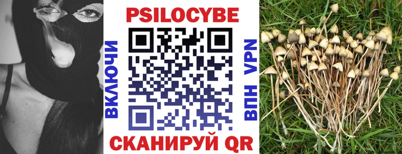 Купить где  Сосновый Бор  Галлюциногенные грибы мицелий 