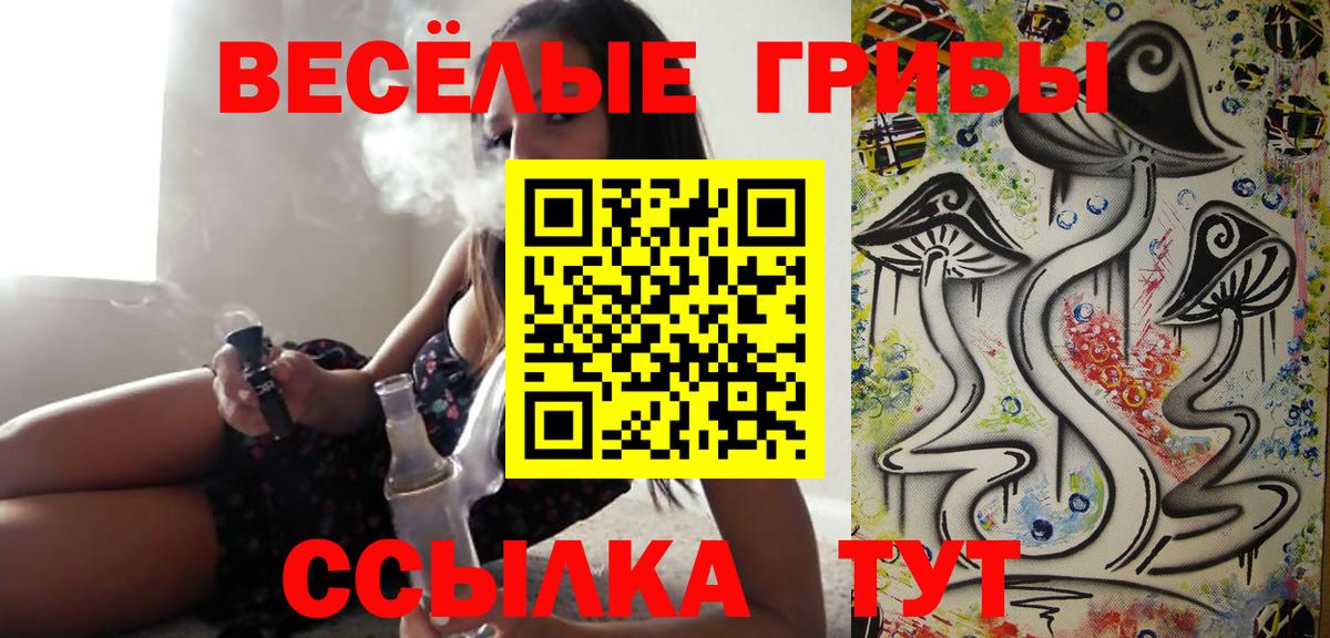 Псилоцибиновые грибы прущие грибы  Псилоцибиновые грибы GOLDEN TEACHER  Сосновый Бор 