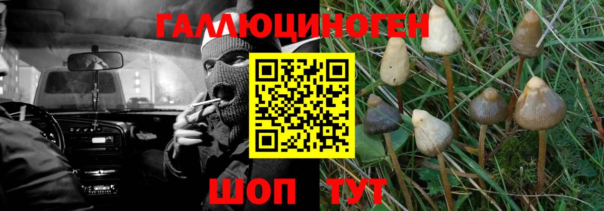 Псилоцибиновые грибы Magic Shrooms  Псилоцибиновые грибы прущие грибы  Вход с VPN  Сосновый Бор 