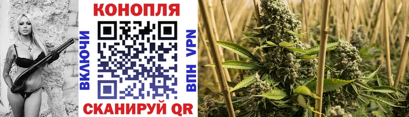 Конопля Ganja  Купить закладки  Сосновый Бор 